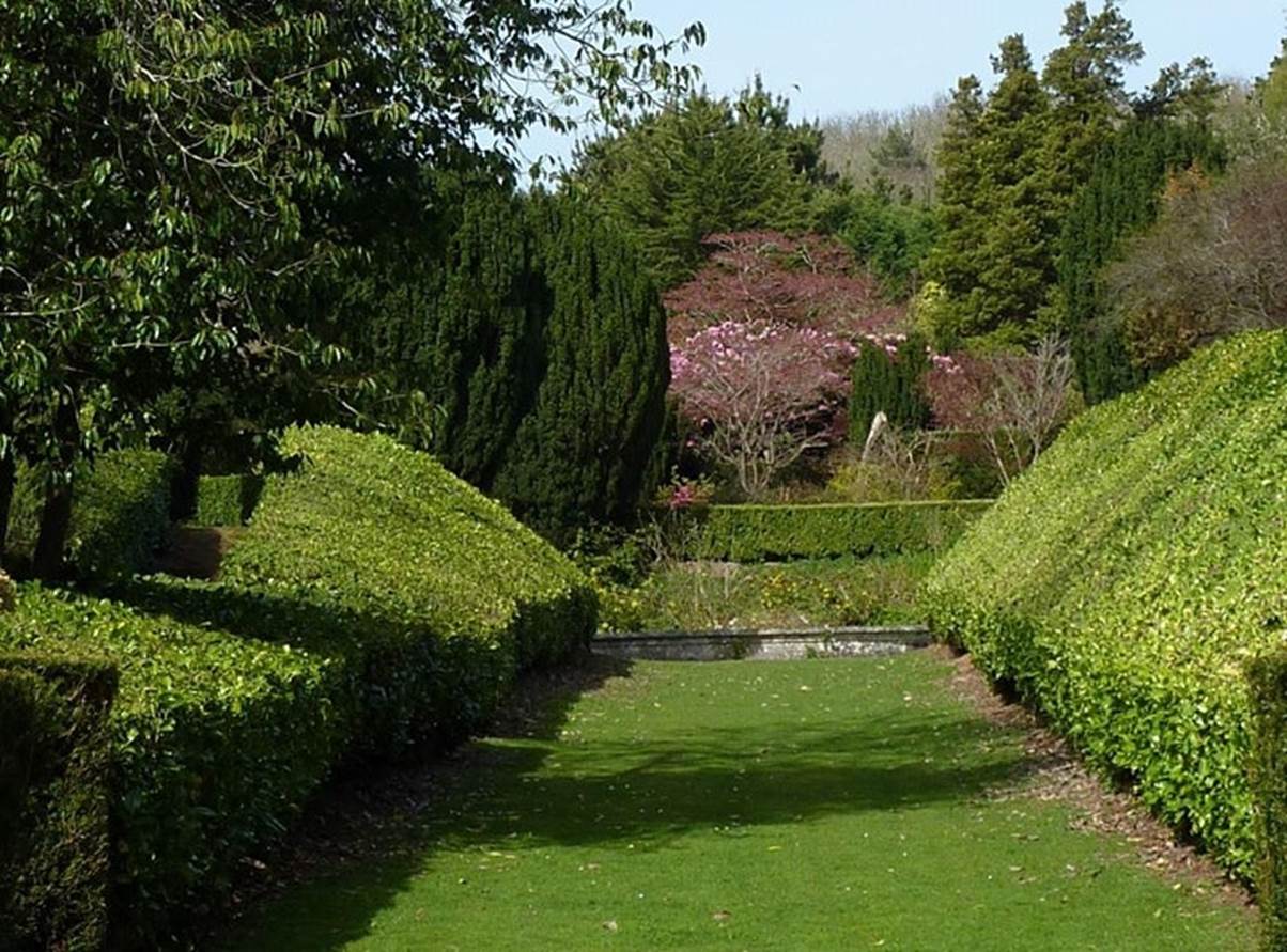   Shobrooke Park Gardens Open 19th March 2021 image 